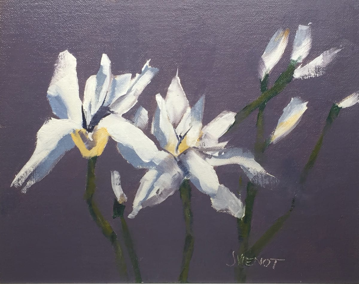 Iris by Joan Vienot 