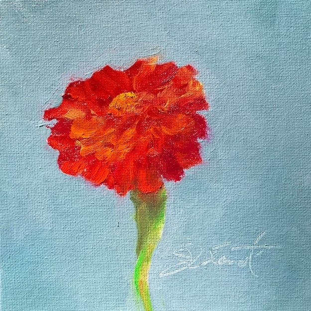 Zinnia by Joan Vienot 