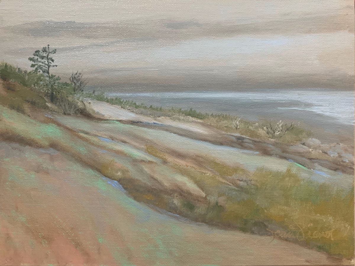 Scraped Bald, Cadillac Mountain by Joan Vienot, Image 1.