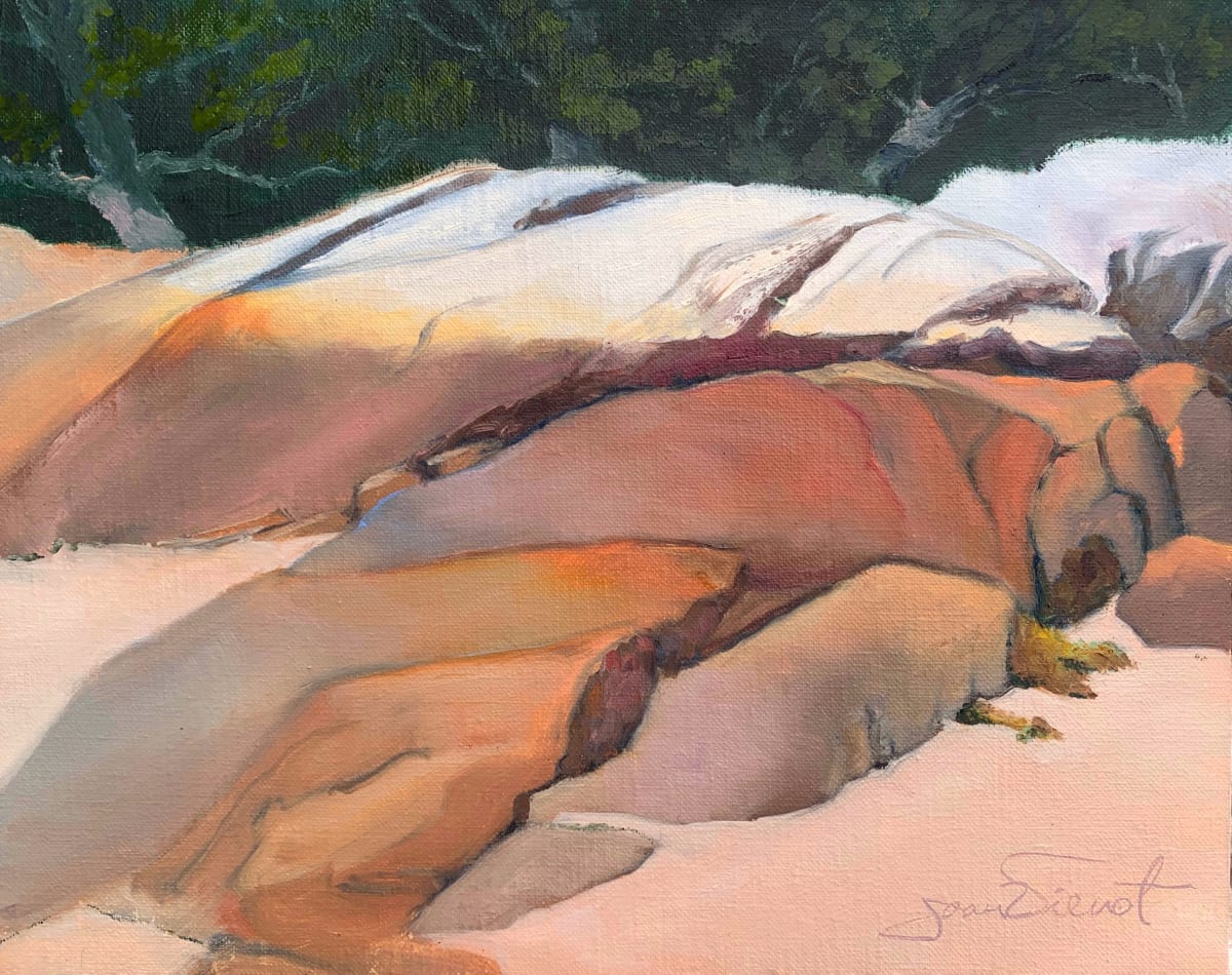 Rocks at Low Tide by Joan Vienot 