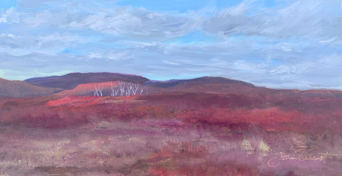 Blueberry Field Morning by Joan Vienot 
