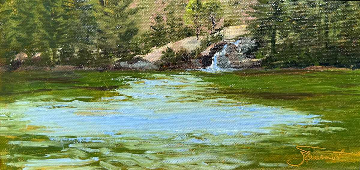 Tidal Falls Cove by Joan Vienot, Image 1.