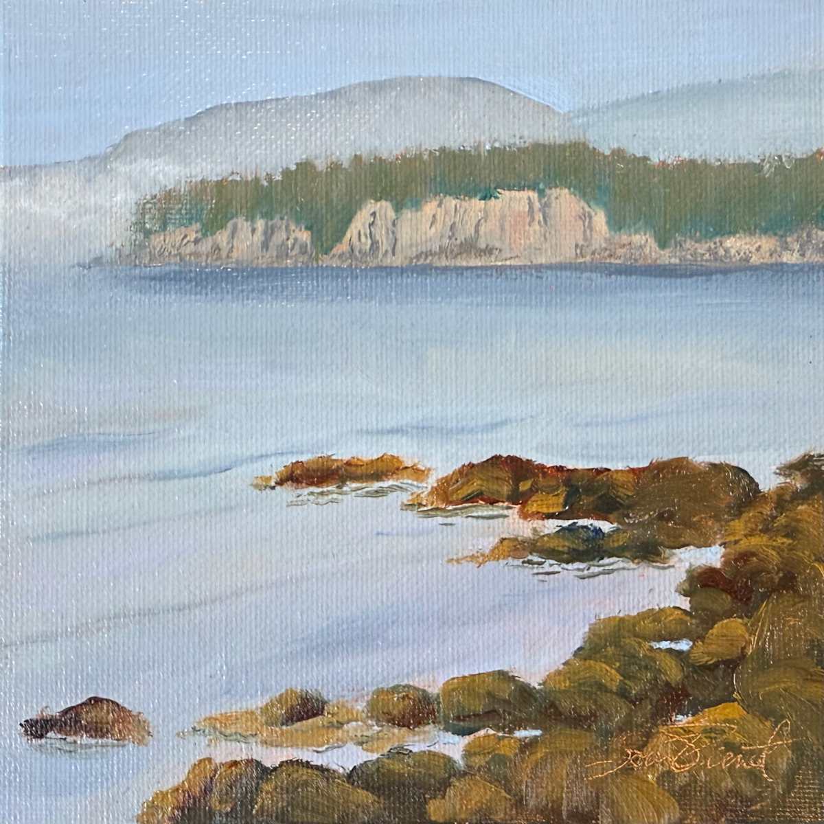 Fog Lifting Behind the Island by Joan Vienot 