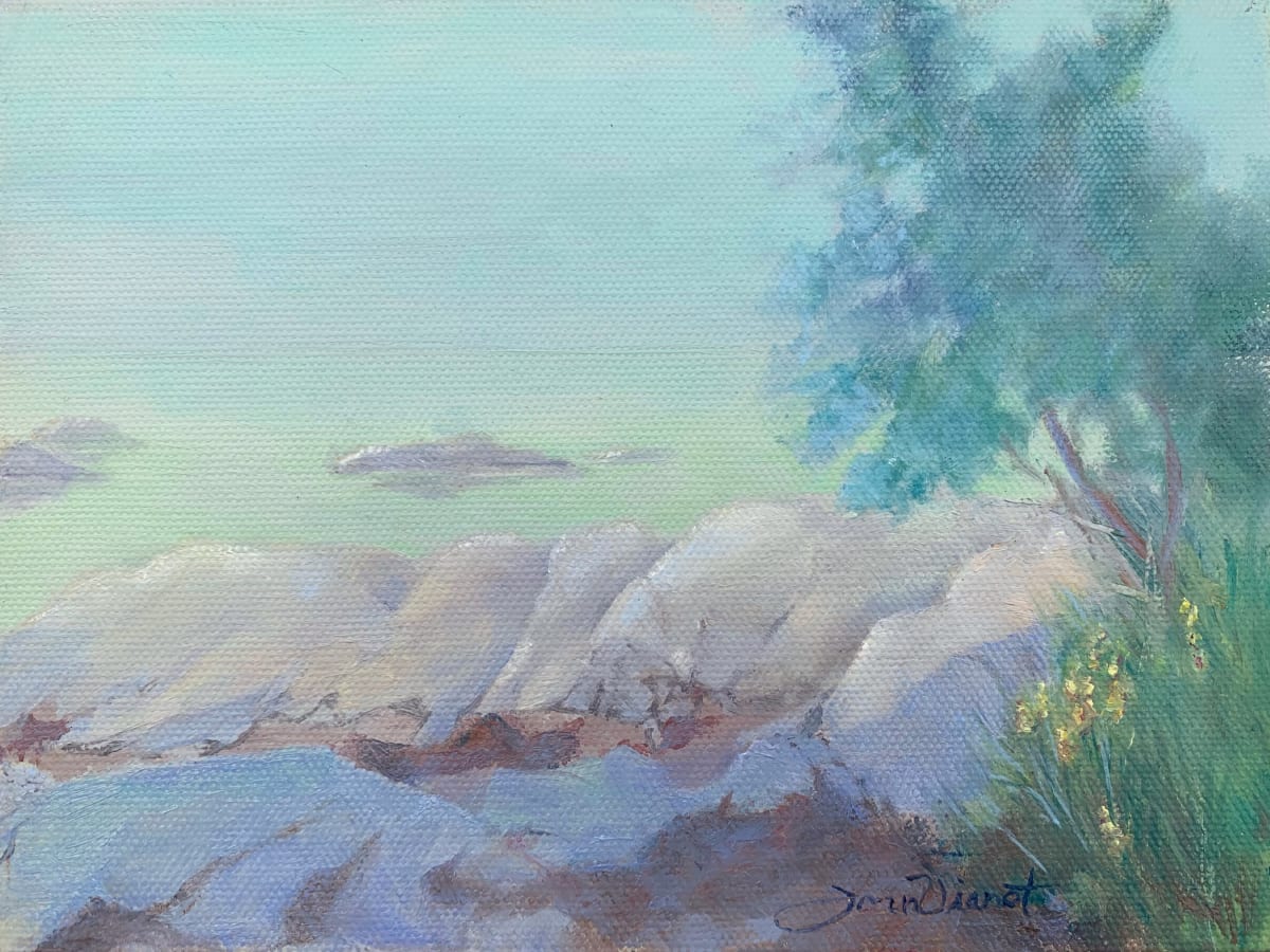 Foggy Shore by Joan Vienot 