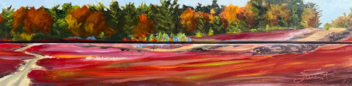 Blueberry Barren Autumn by Joan Vienot 