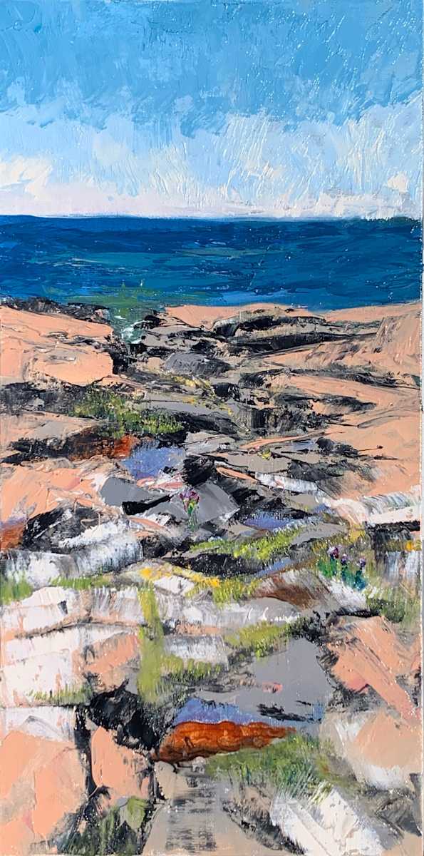 Ecosystem in Granite by Joan Vienot 