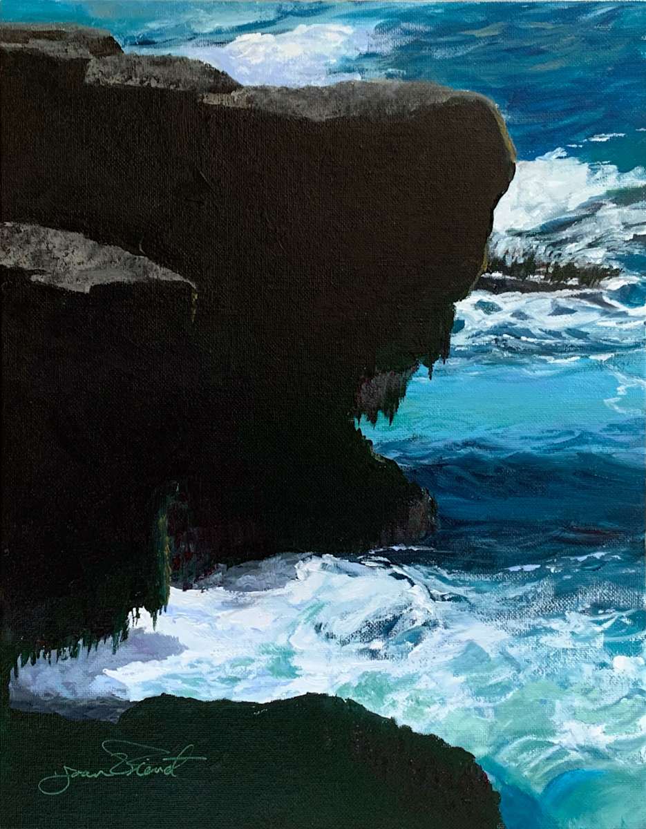 Schoodic Low Tide by Joan Vienot 