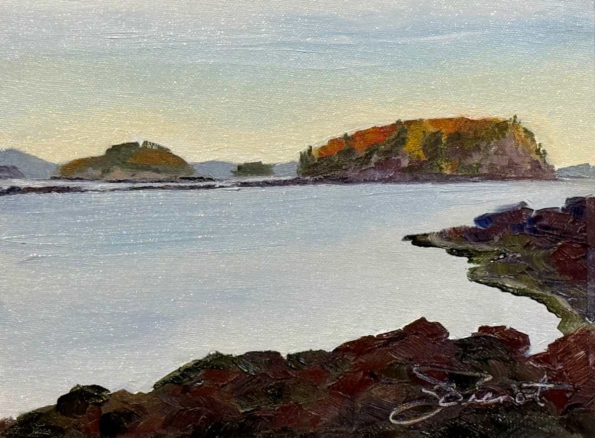 View of Bald Porcupine and Porcupine Dry Ledge from Compass Harbor by Joan Vienot 