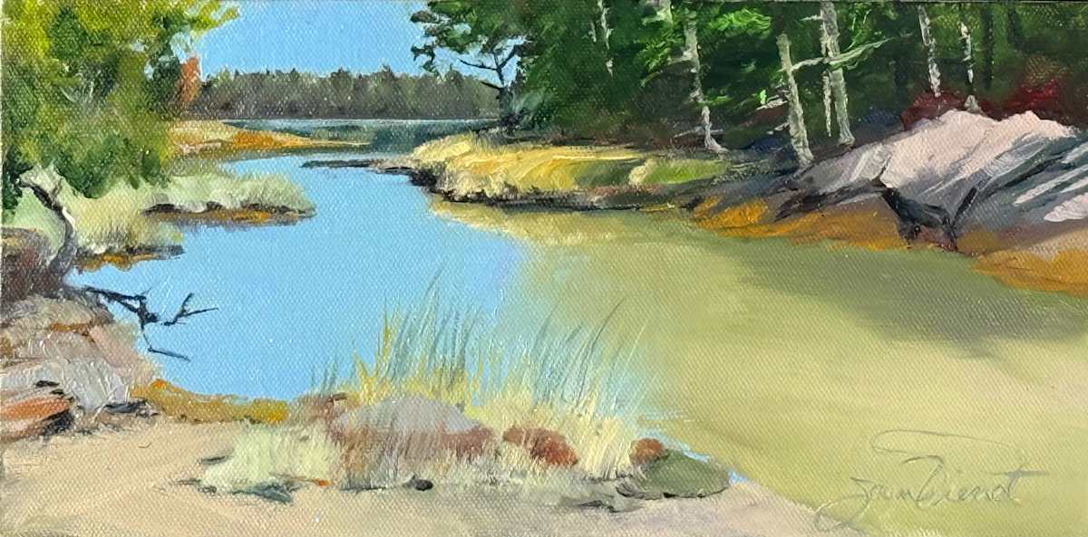 Mt. Desert Narrows Near Old Pond by Joan Vienot 