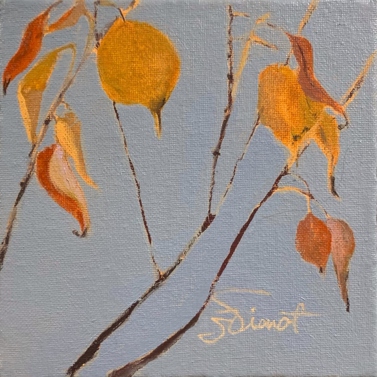 Colors in the Fog by Joan Vienot 