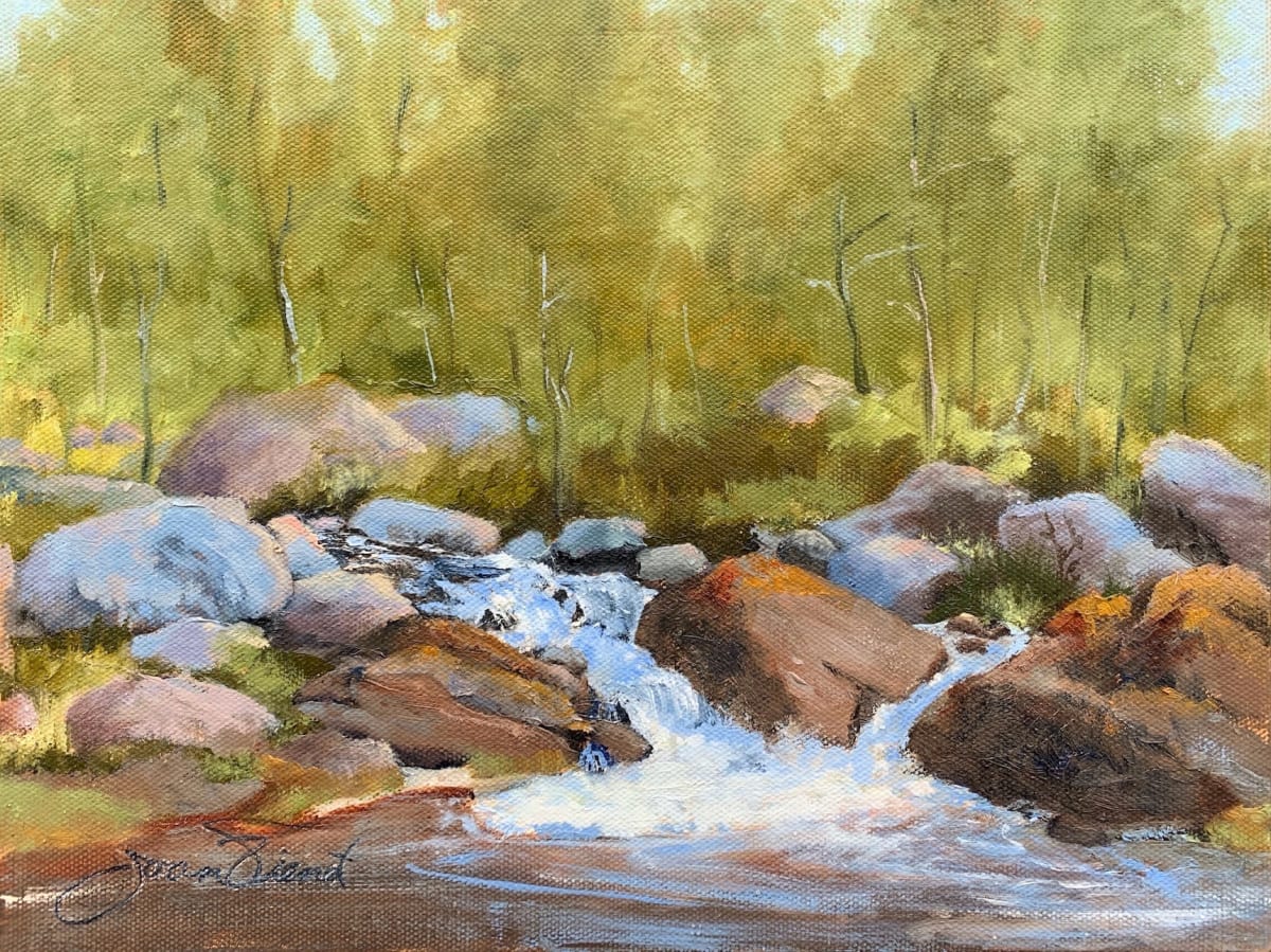 Patten Creek Outfall by Joan Vienot 