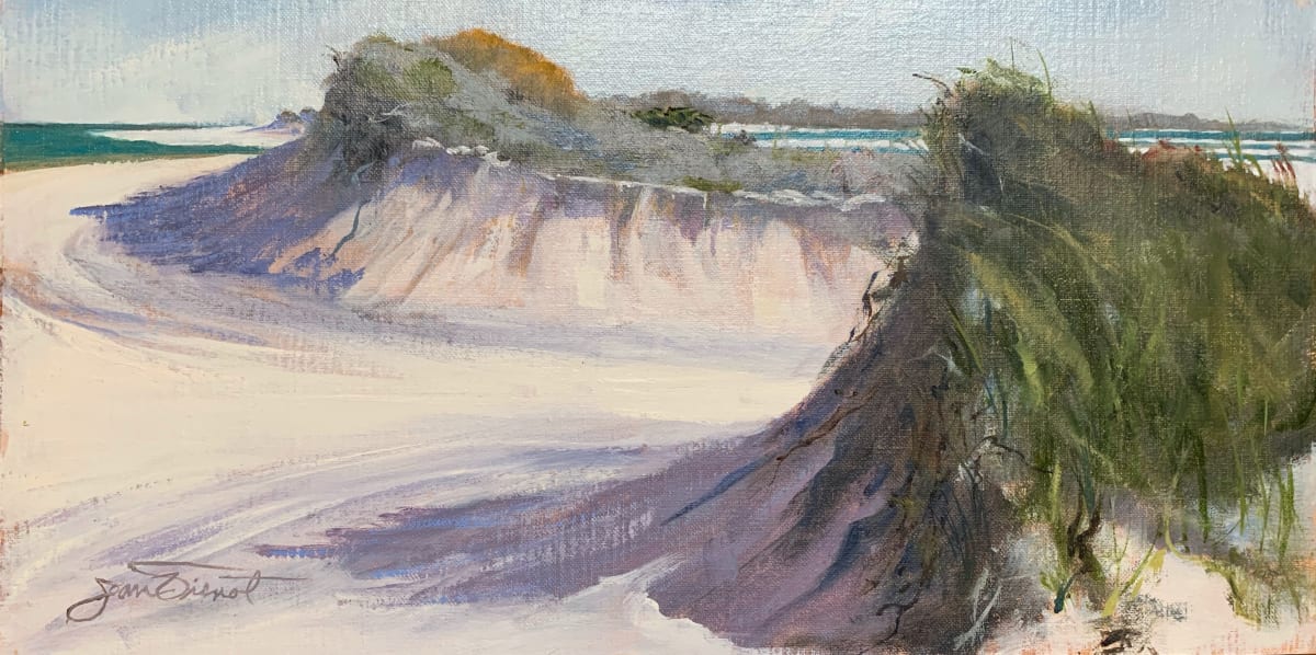 The Cut in the Dunes by Joan Vienot, Image 1.
