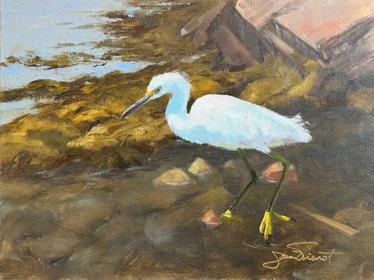 Sneaky-Stepping Snowy Egret by Joan Vienot, Image 1.