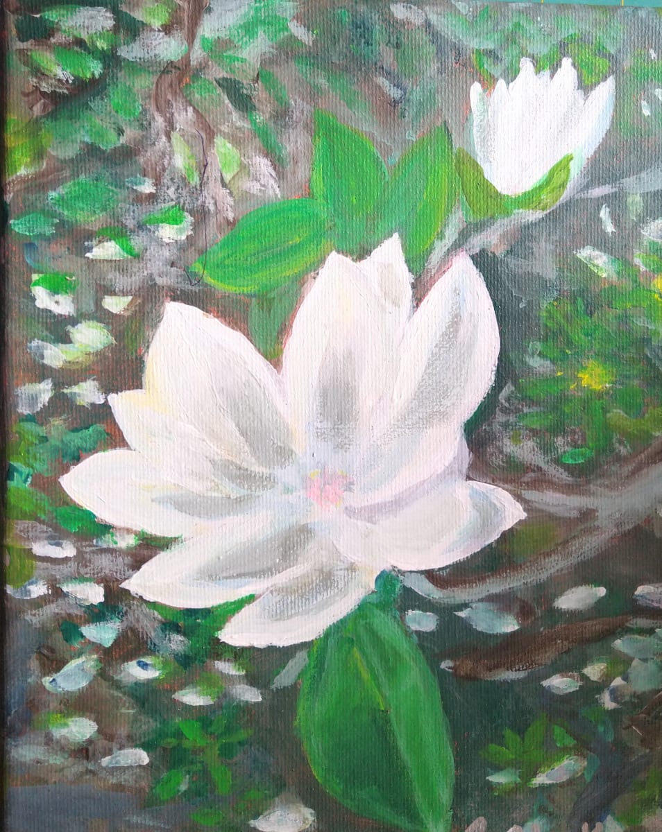 Magnolia by Rhondda MacKay  Image: Celebrating blooms in my backyard.