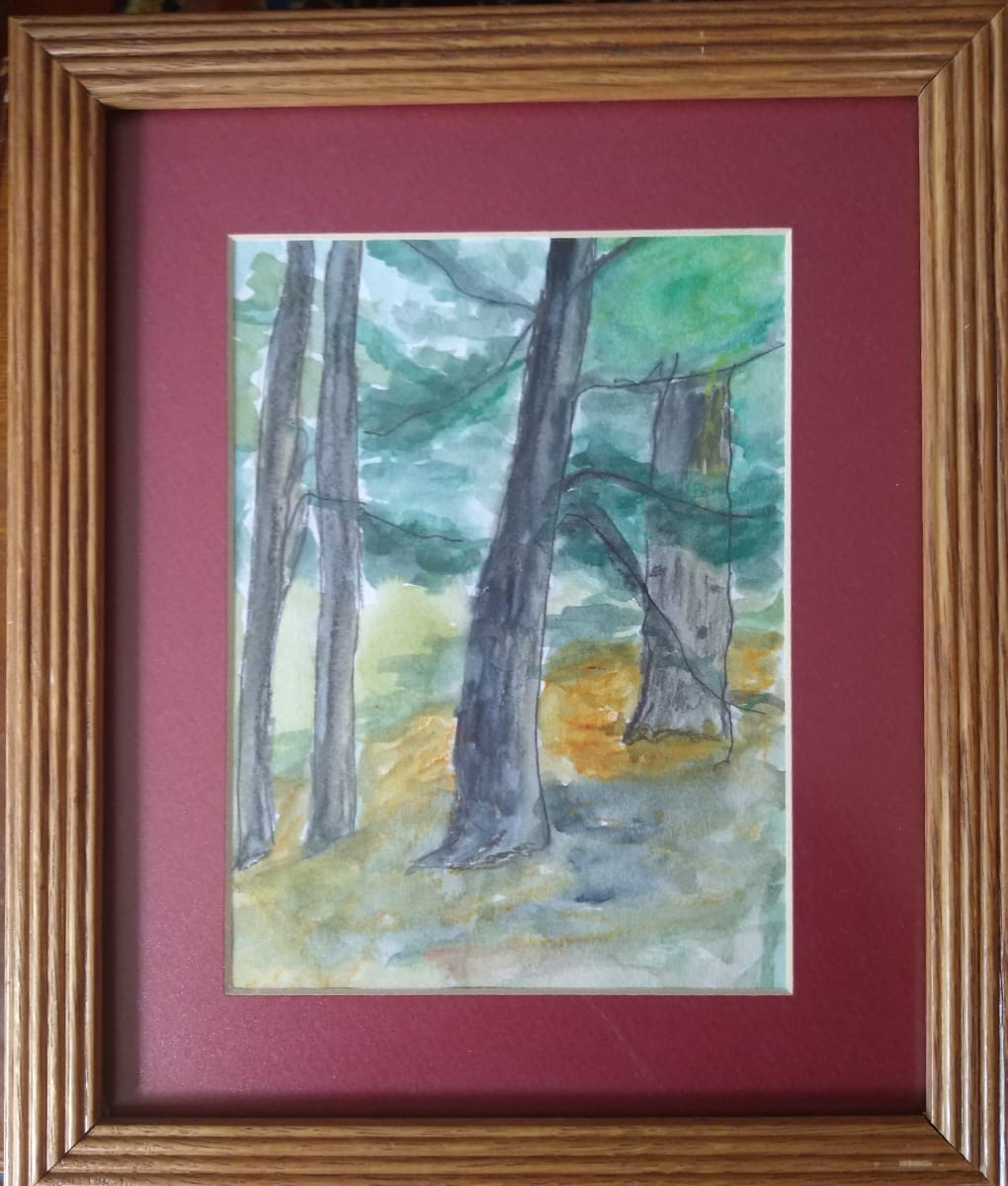 Made in the shade  Image: The title came from my teacher David W. Jones as I was working on this piece beside the Pagoda at Rockcliffe Park.