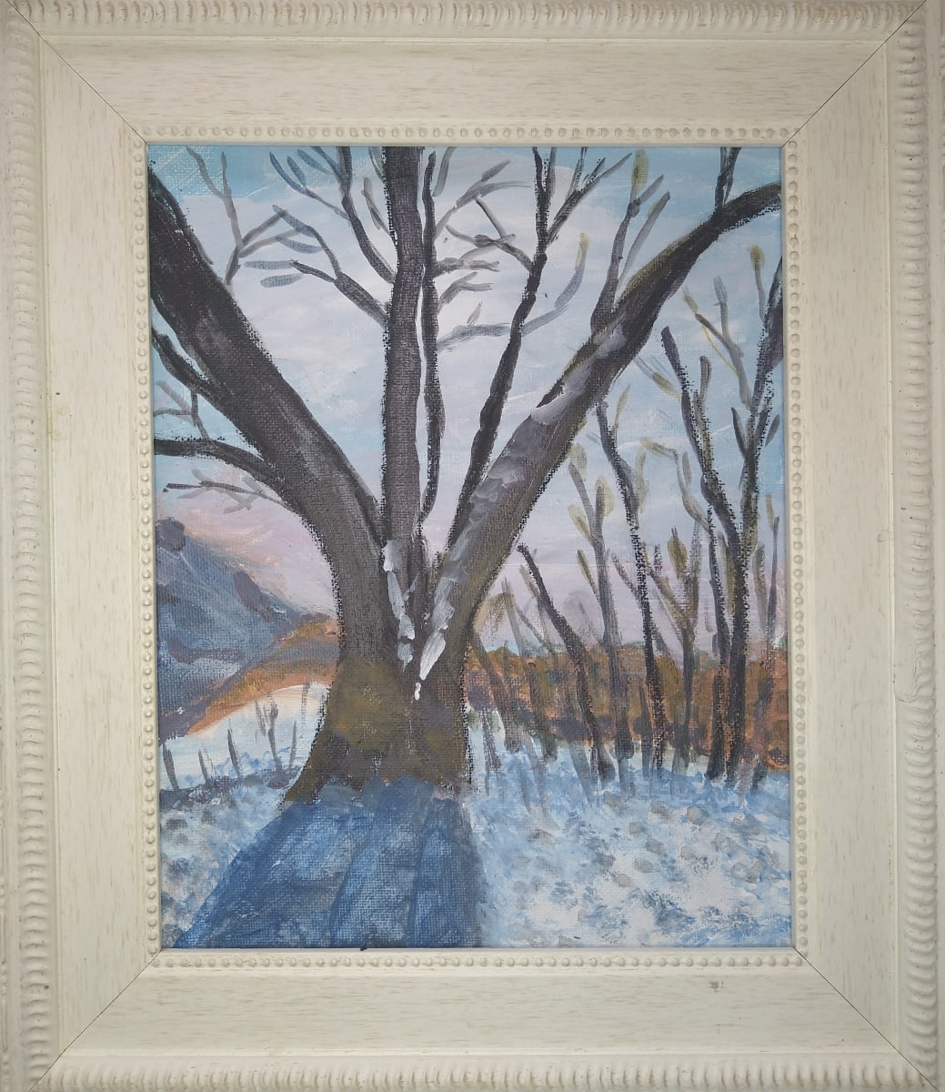 Sentry Tree by Rhondda MacKay  Image: Season by season this tree stands by a path between two parts of my neighbourhood.