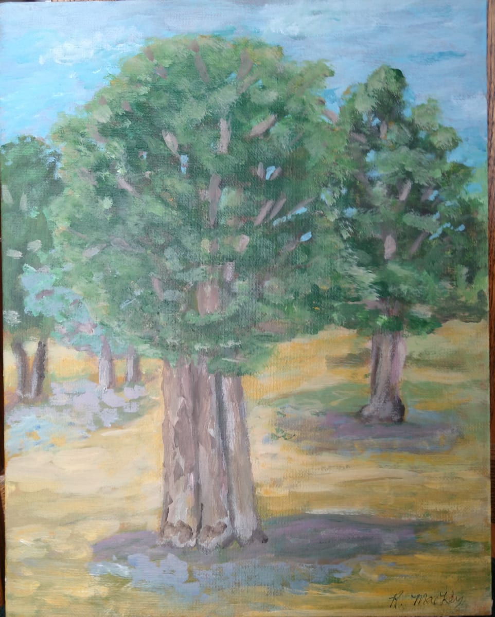 Triple Oak--Lemieux Island  Image: On a hot summer day with dogs cavorting about, these three oaks seemed to be embracing.