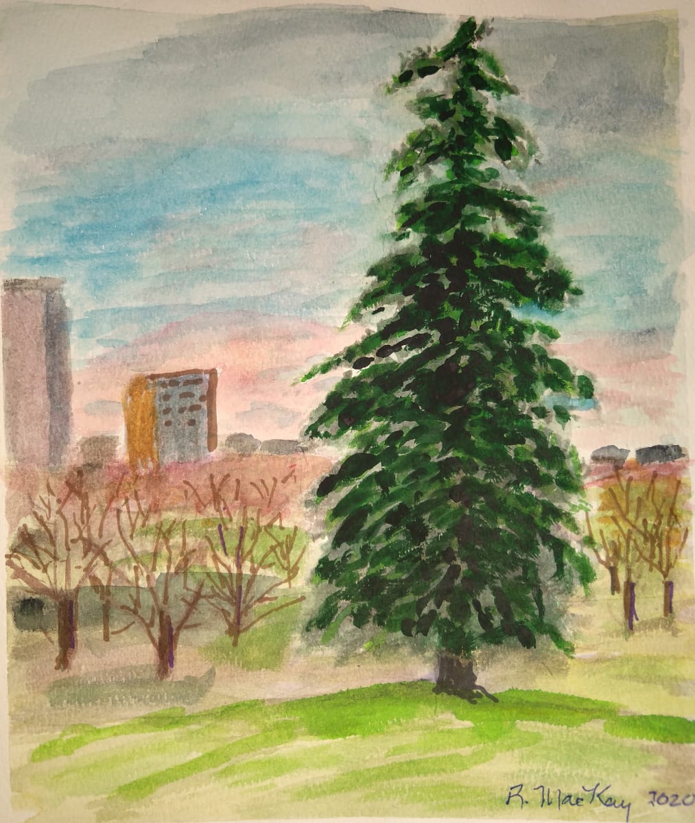 Colorado Spruce Weeping over the city by Rhondda MacKay  Image: I started this painting in the early months of the COVID pandemic and revisited it after an occupation of downtown Ottawa in 2022, putting it under a more compicated sky.