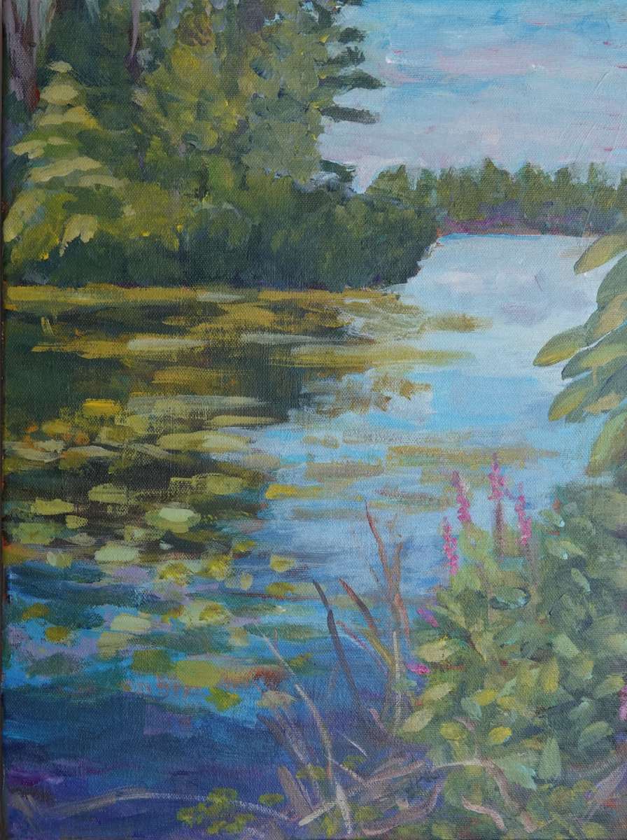 Mud Lake from the rock by Rhondda MacKay, Image 1.