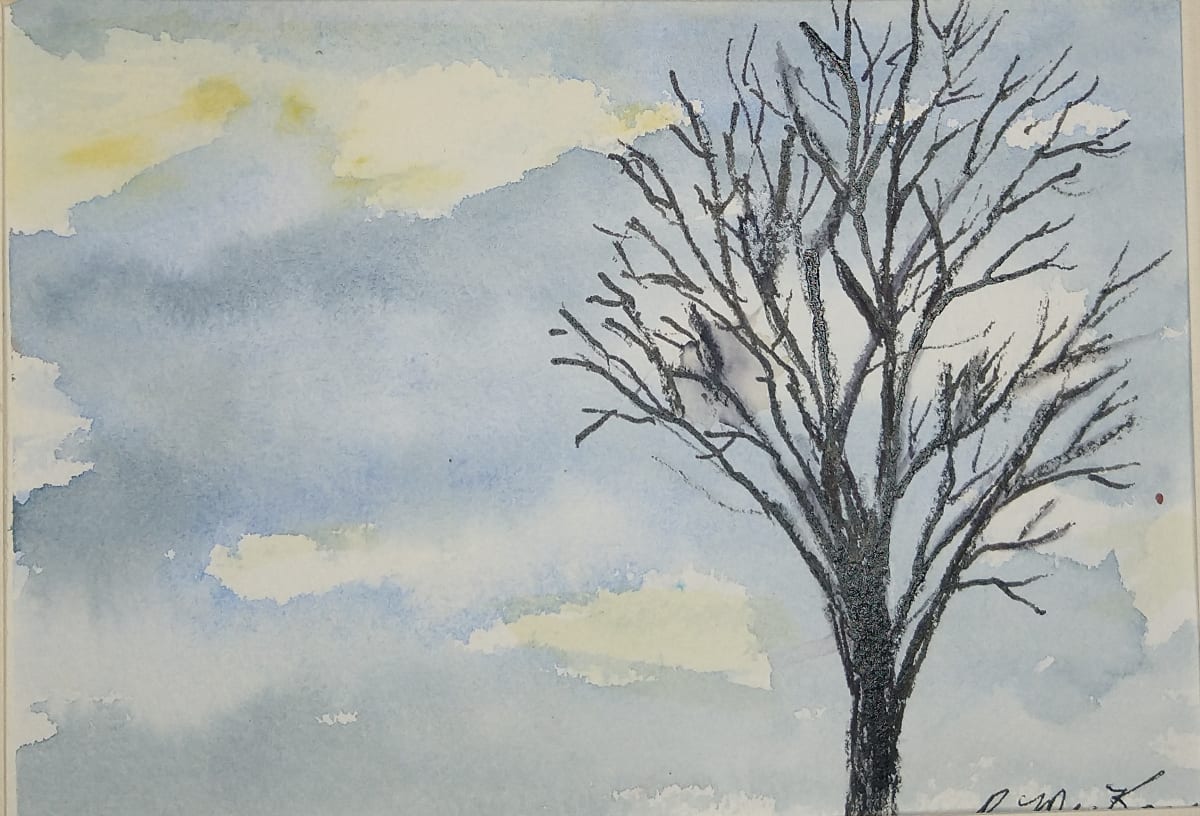 Winter Sky  Image: This tree imprinted itself on the winter sky from my vantage point in our artist's group.