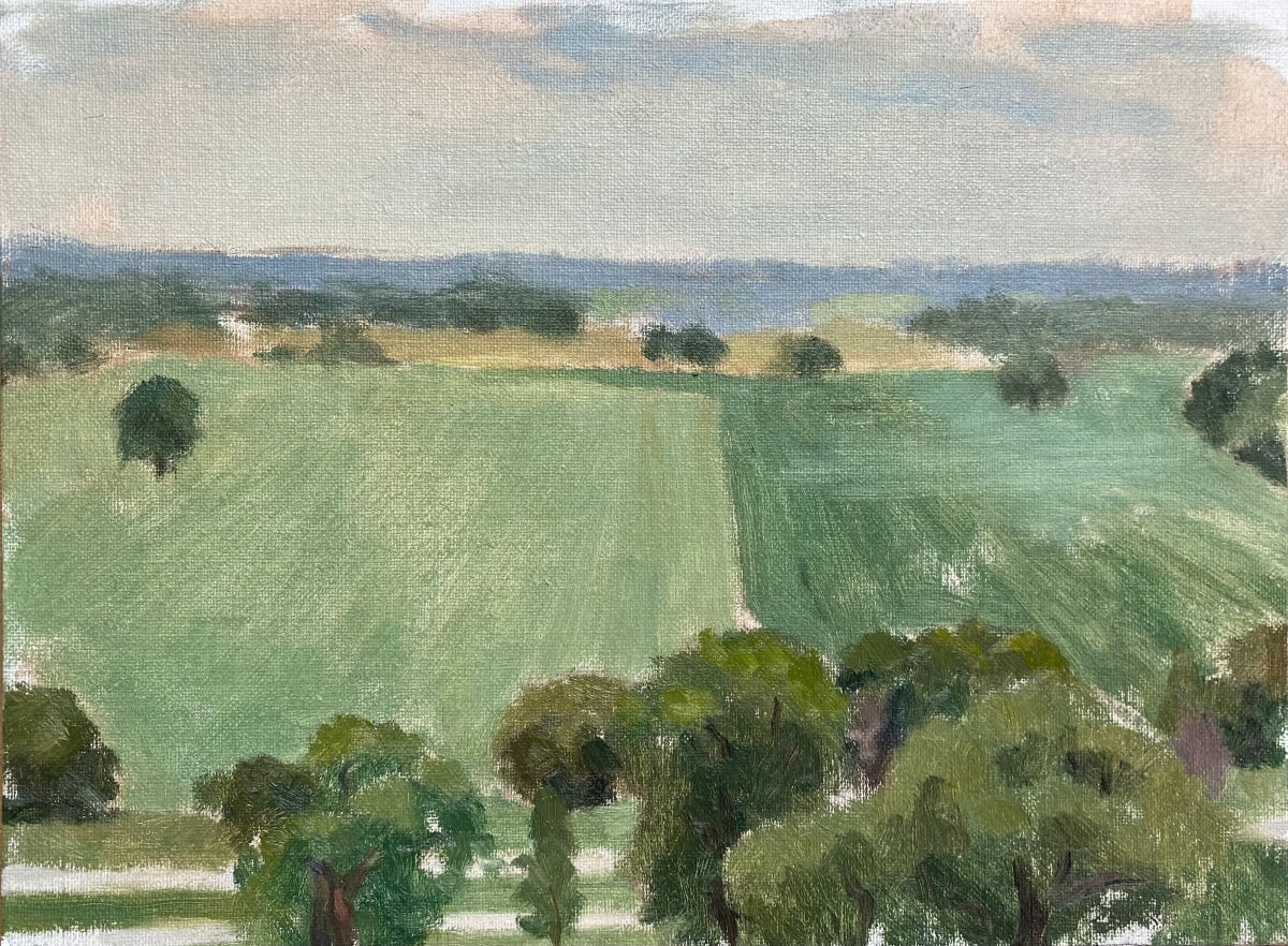 Cameron park from circle point, overcast day in spring by Sean Oswald  Image: Main image 