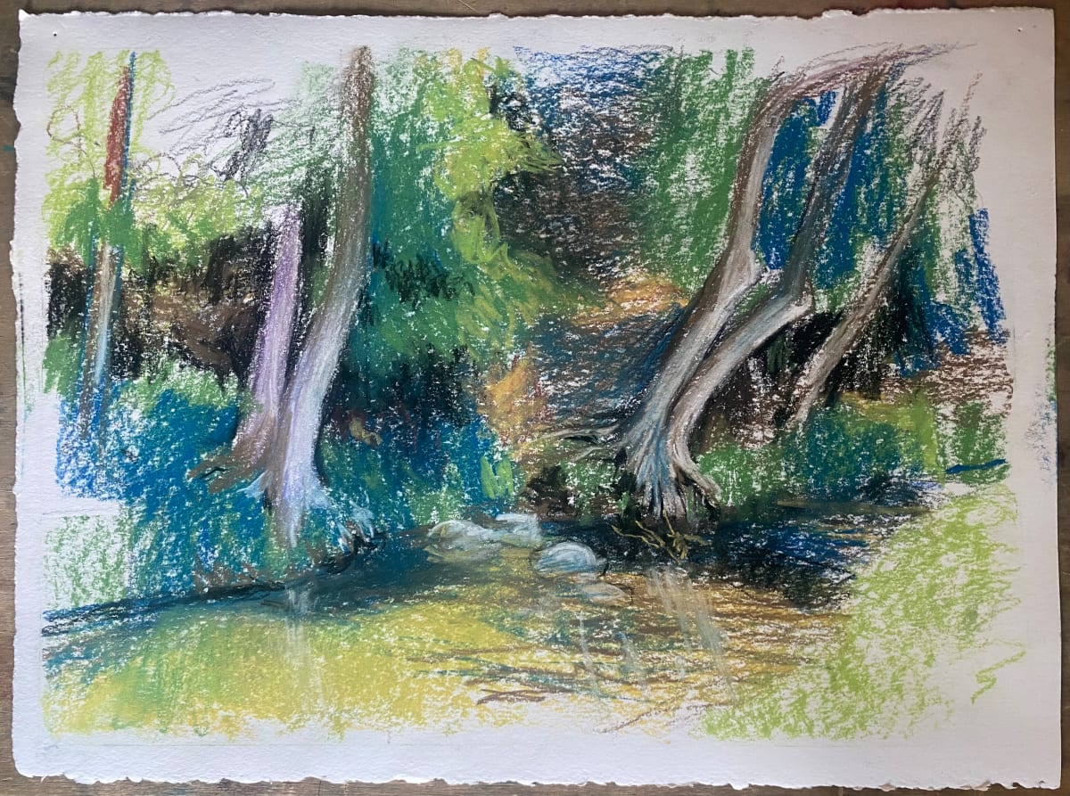 Stream in Park behind UMHB by Sean Oswald 