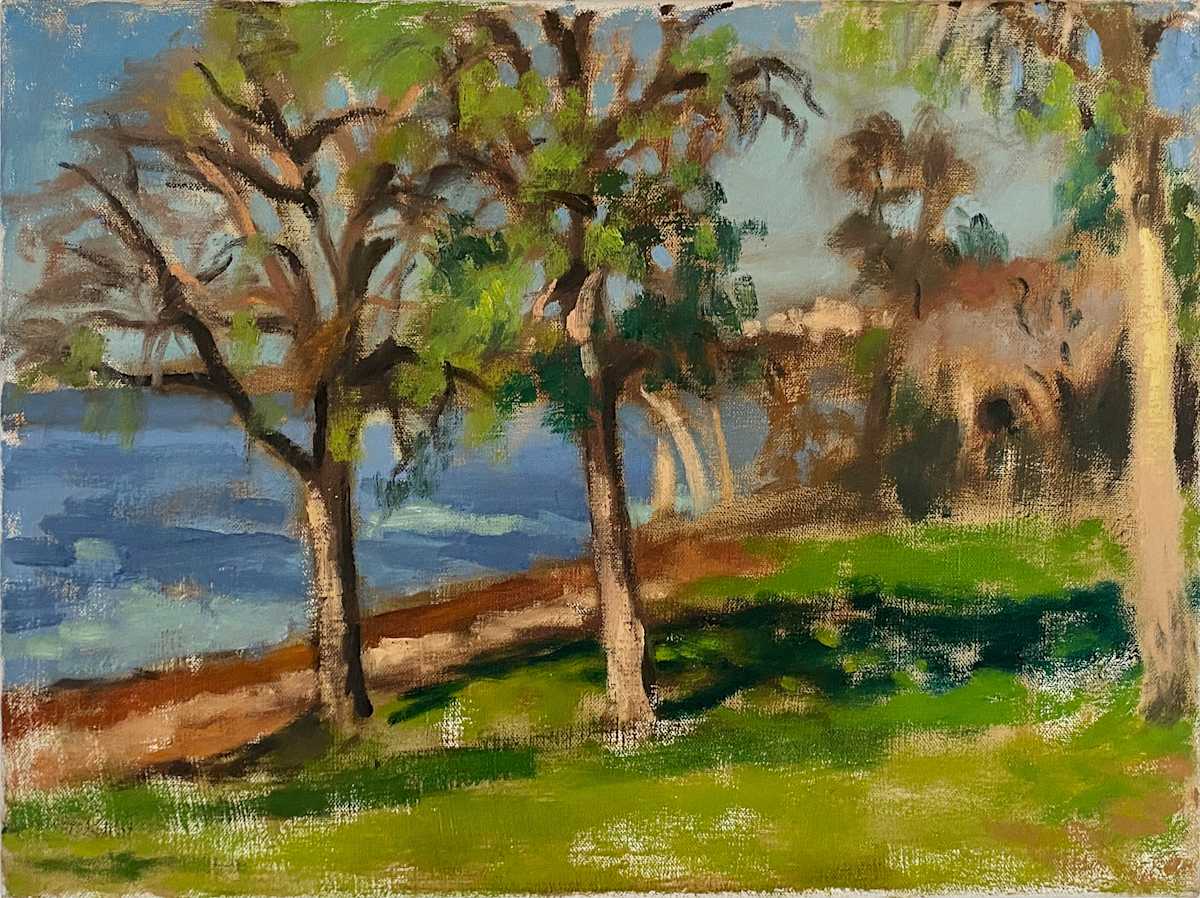View from Lake Waco by Sean Oswald 