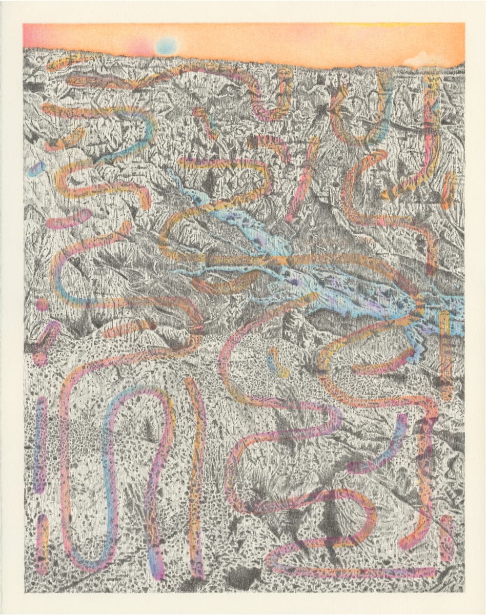 Sunset snakes by Joey Parlett 