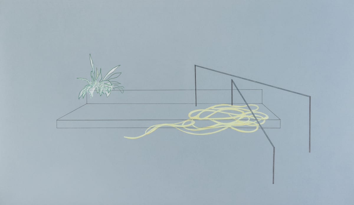 Steps With Rails, Hose, and Plant by Martine Kaczynski 
