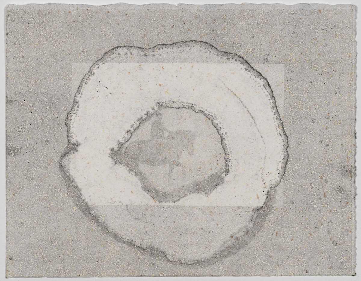 Untitled (Horse Donut Sand) by Sara Stern 