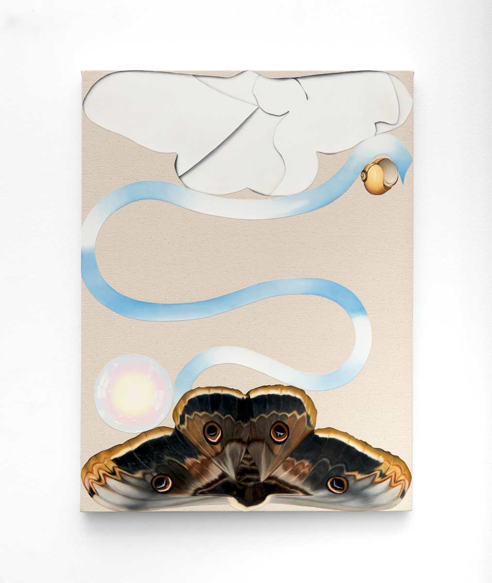 Still Life with Moth, Shell, and Sphere by Evan Halter, Image 3.