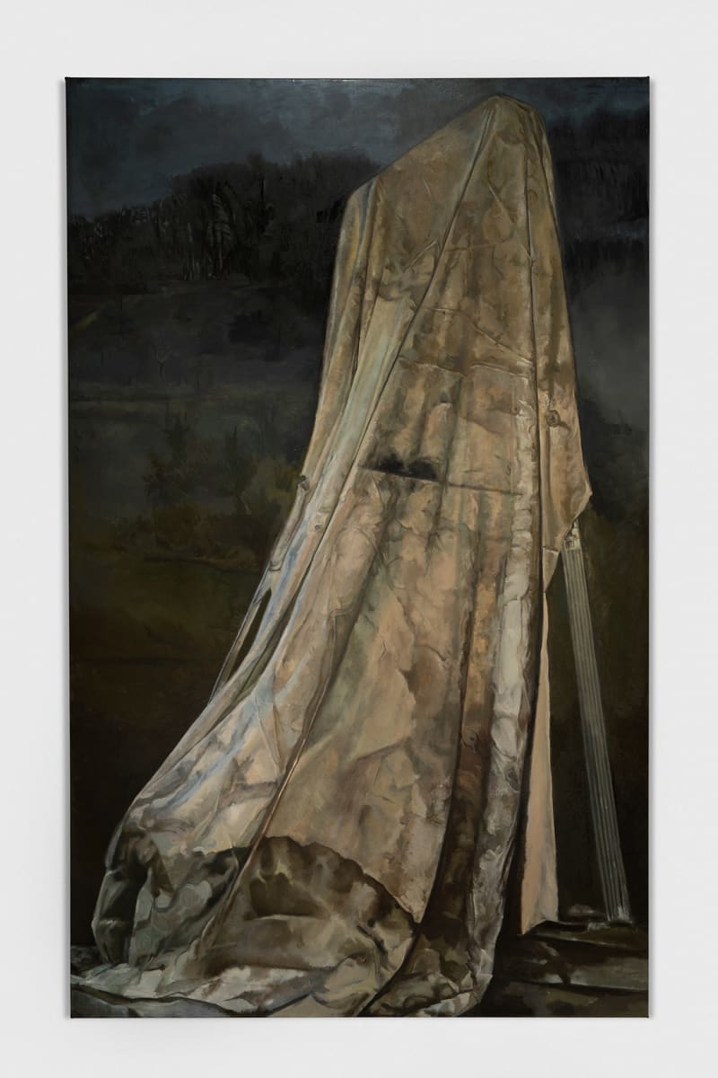 Tarp on Ladder by Christopher Fitzwater 