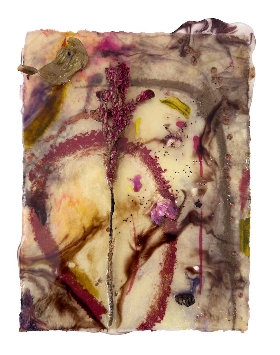 The Sun Stood Still (sumac) by Heidi Norton 