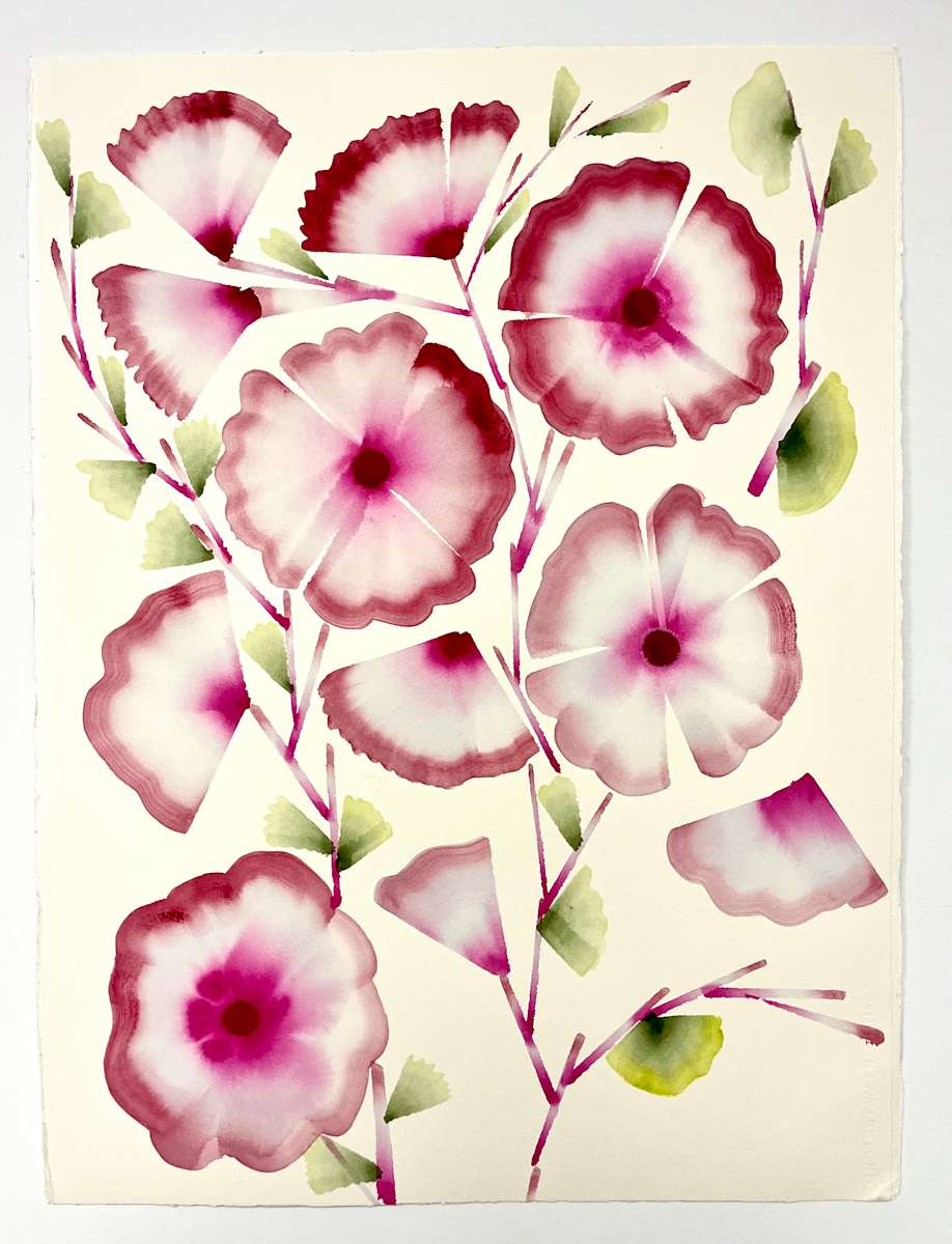 Pink and White Hibiscus by Ruby Palmer 