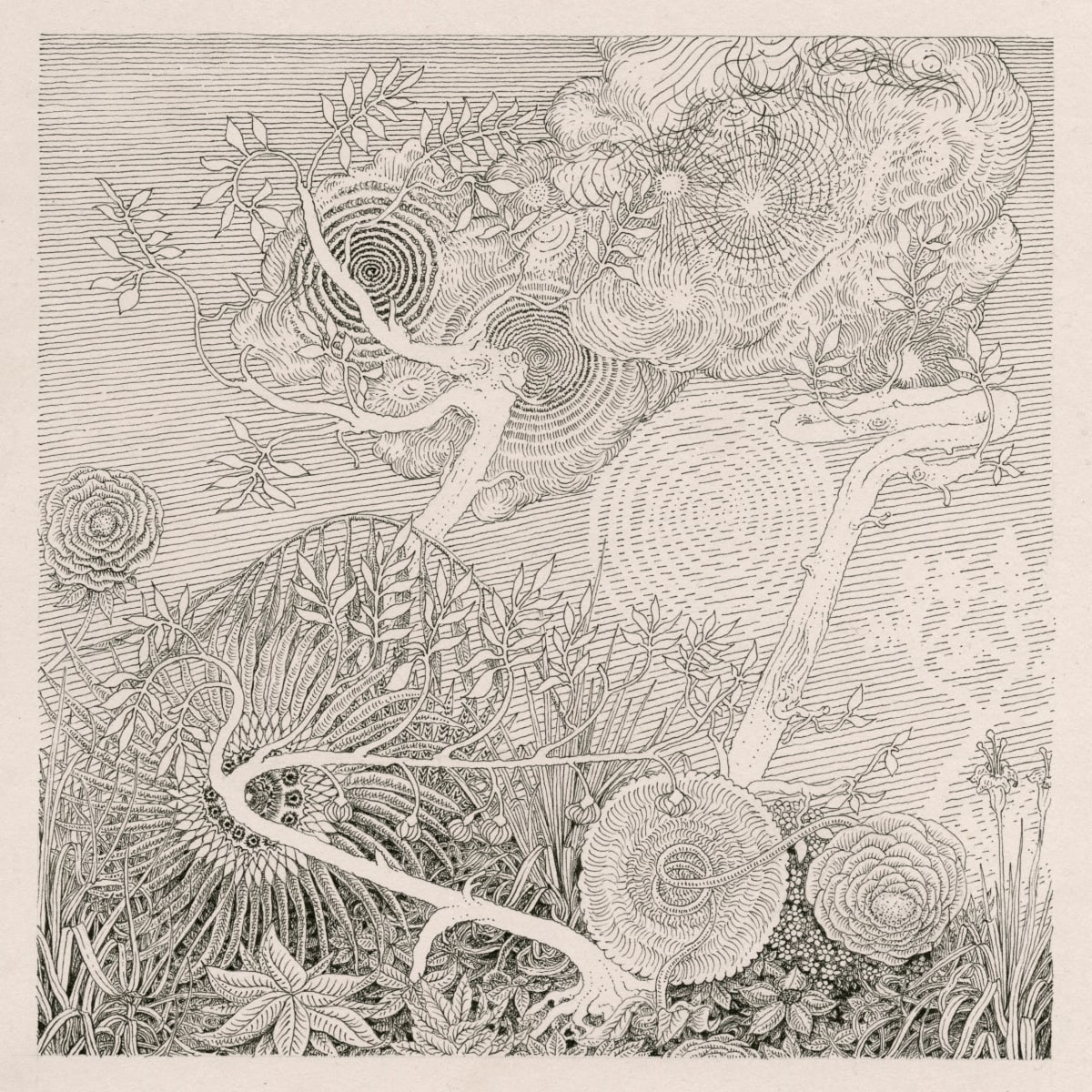 Sprung by Casey Jex Smith, Image 1.