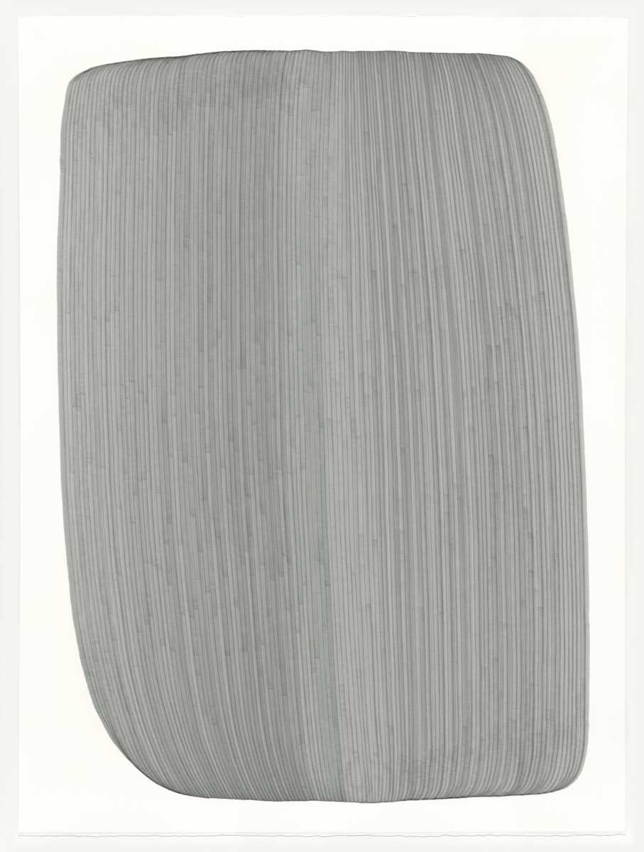 Lines 200 by Dana Piazza, Image 1.