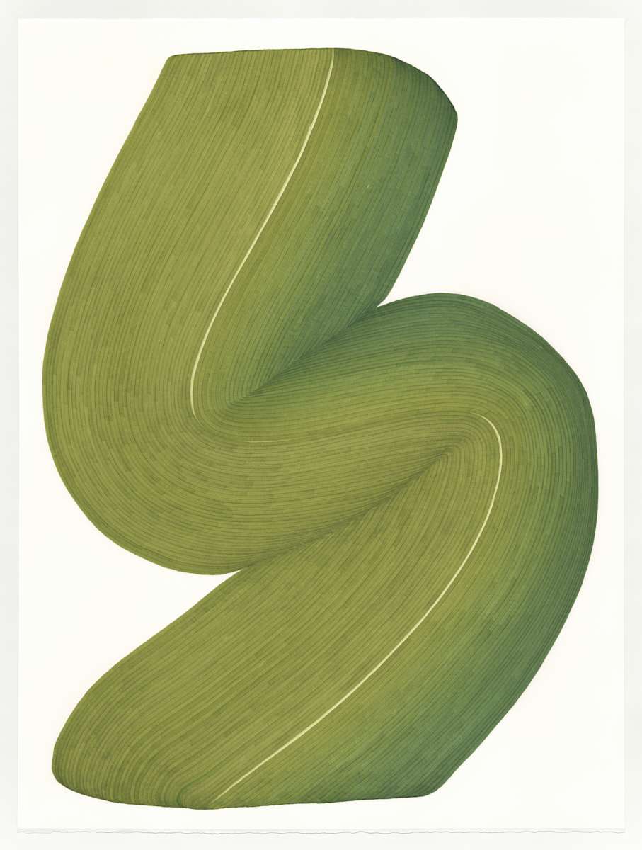 Lines 252 by Dana Piazza 