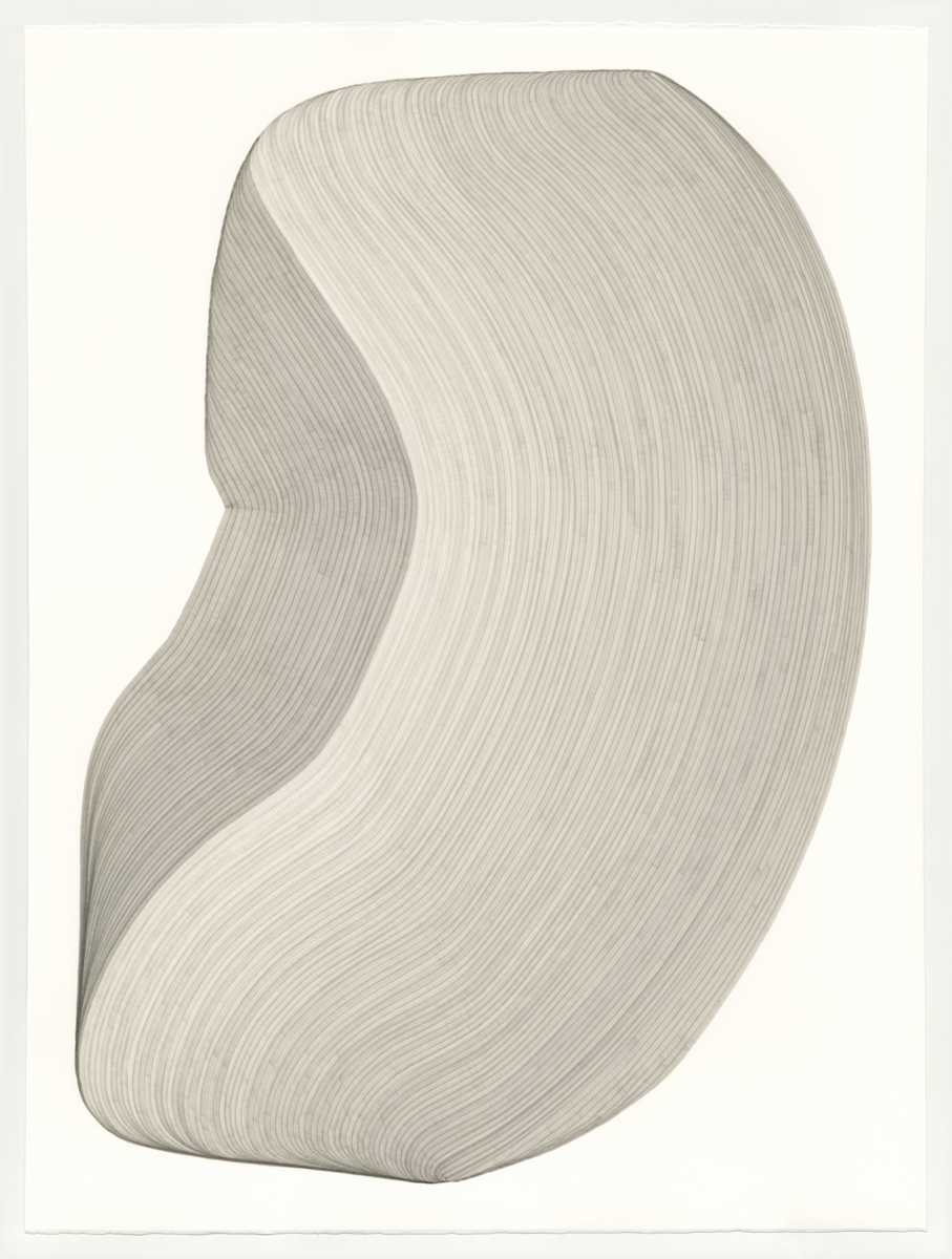 Lines 198 by Dana Piazza, Image 1.