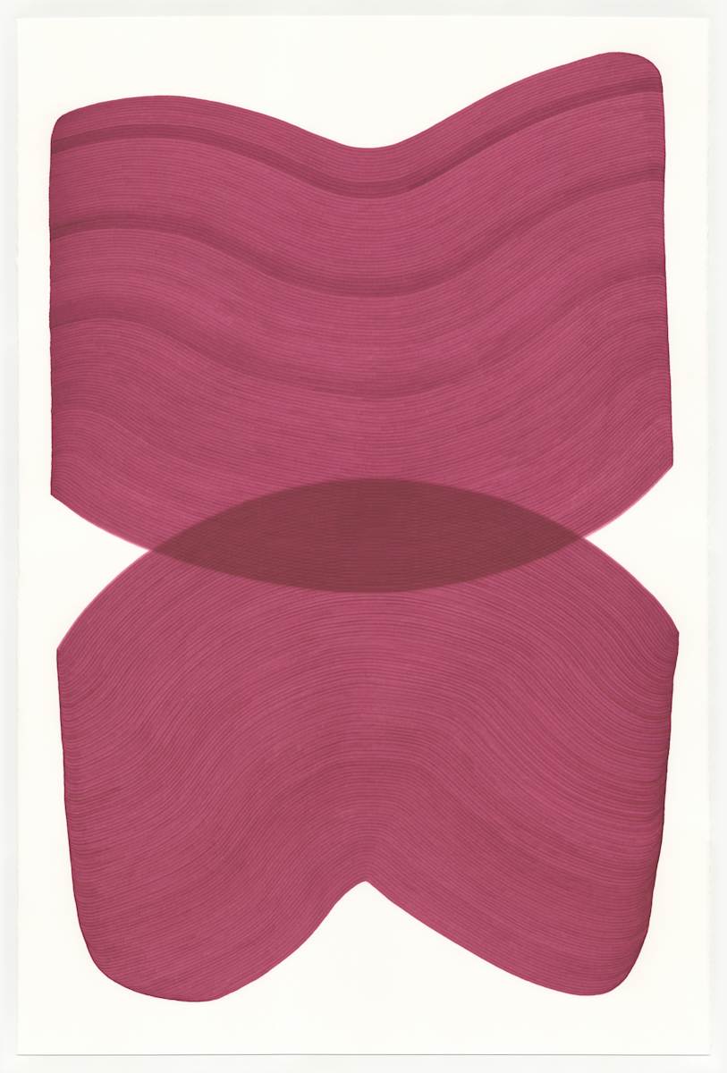 Lines 236 by Dana Piazza, Image 1.