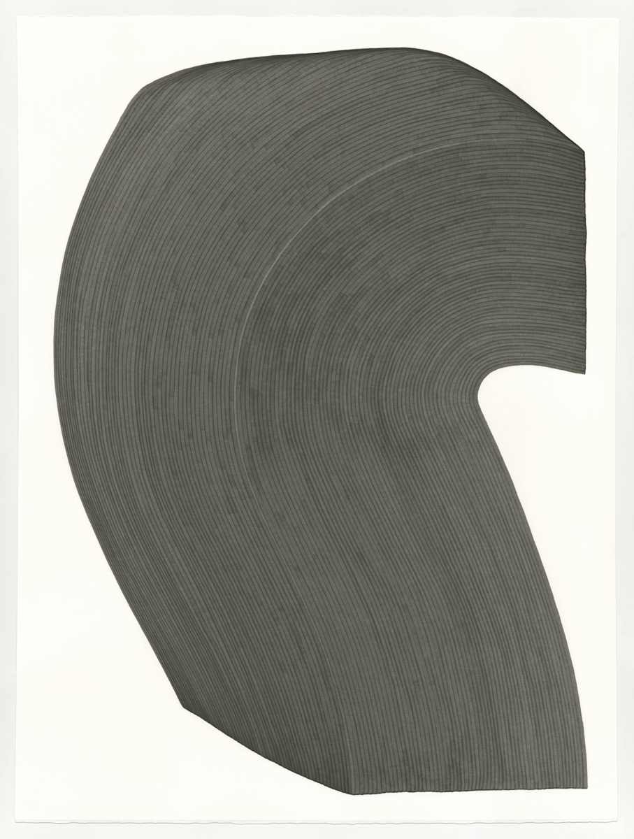 Lines 209 by Dana Piazza, Image 1.