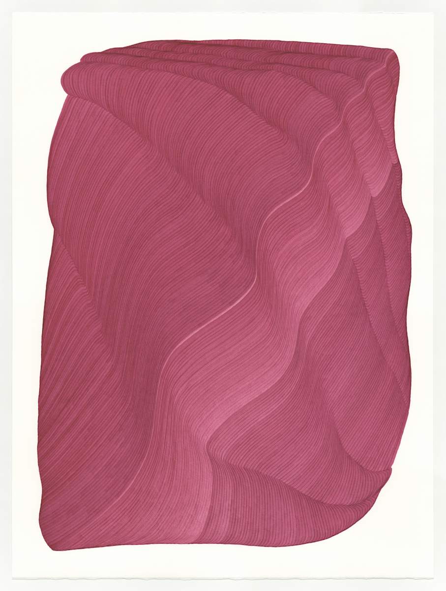 Lines 266 by Dana Piazza, Image 1.