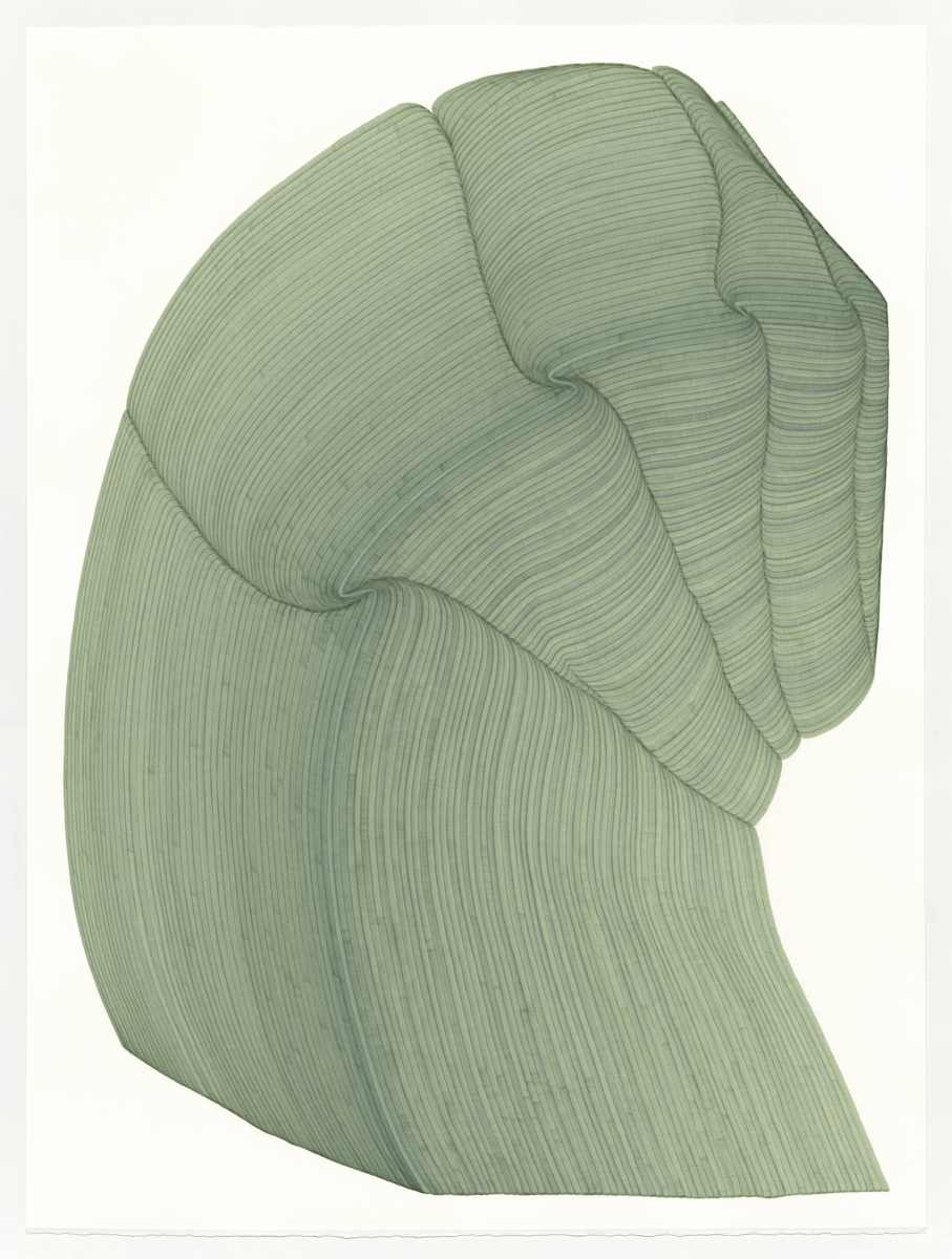 Lines 256 by Dana Piazza, Image 1.