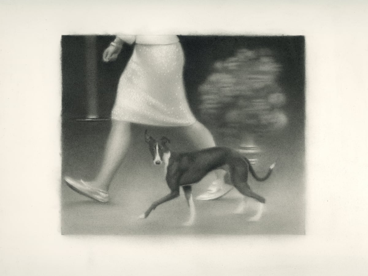 Dog Show by Nick Hobbs 