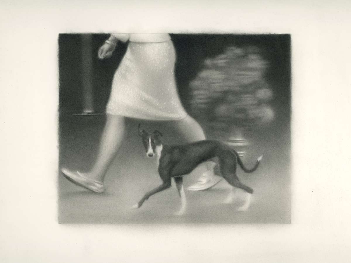 Dog Show by Nick Hobbs, Image 2.