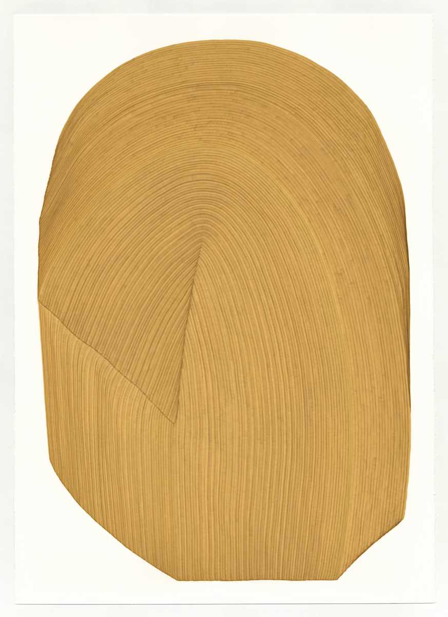 Lines 158 by Dana Piazza, Image 1.