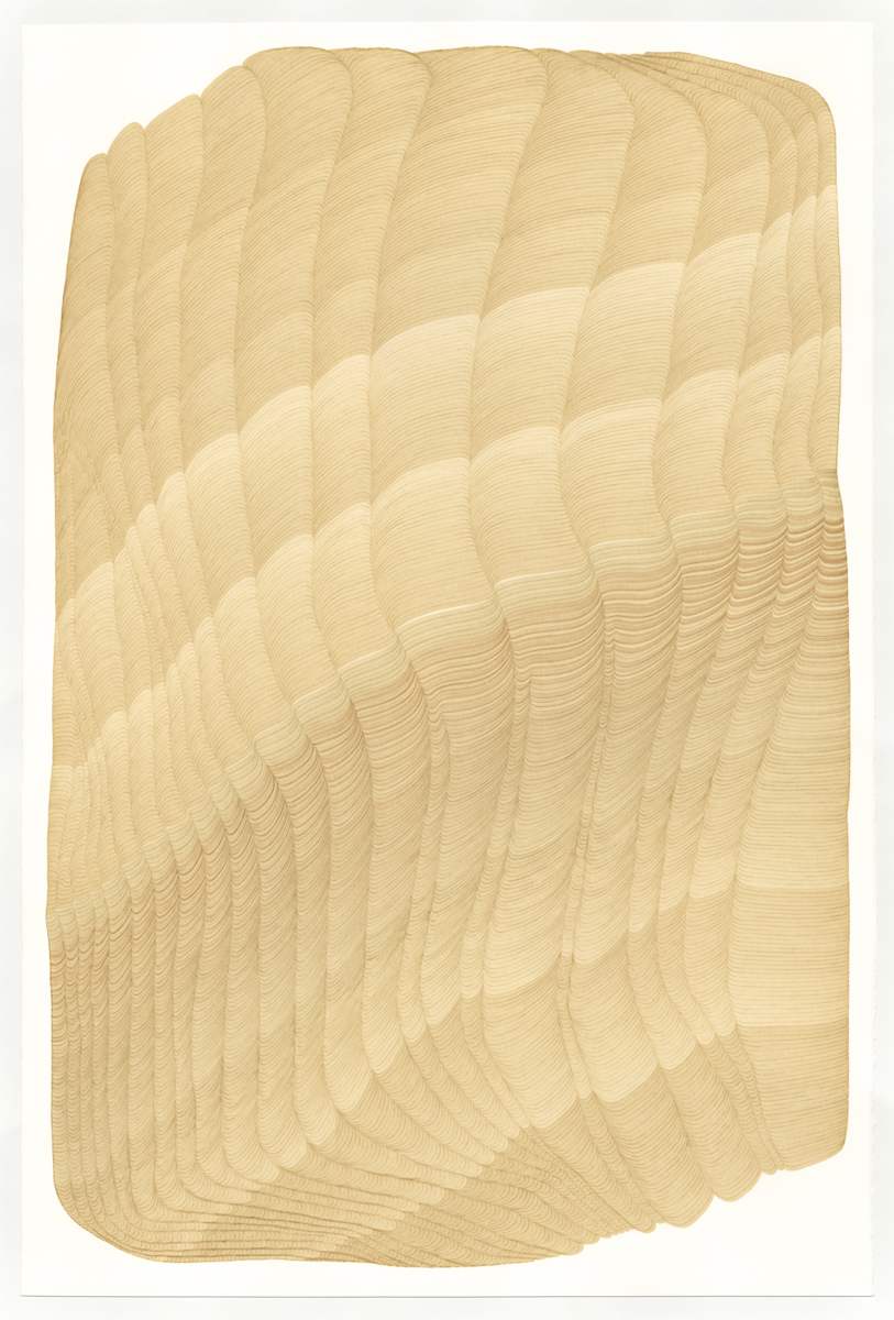 Lines 250 by Dana Piazza, Image 1.
