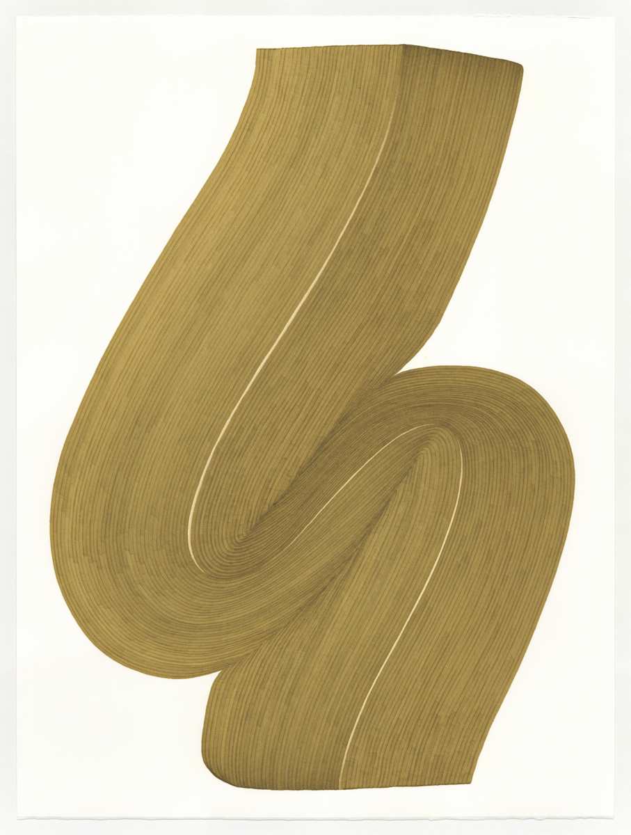 Lines 267 by Dana Piazza, Image 1.