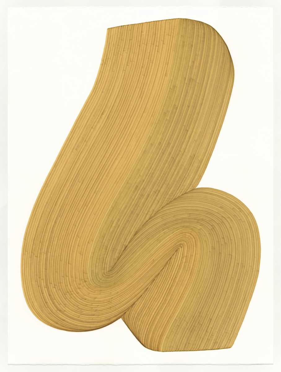 Lines 271 by Dana Piazza, Image 1.