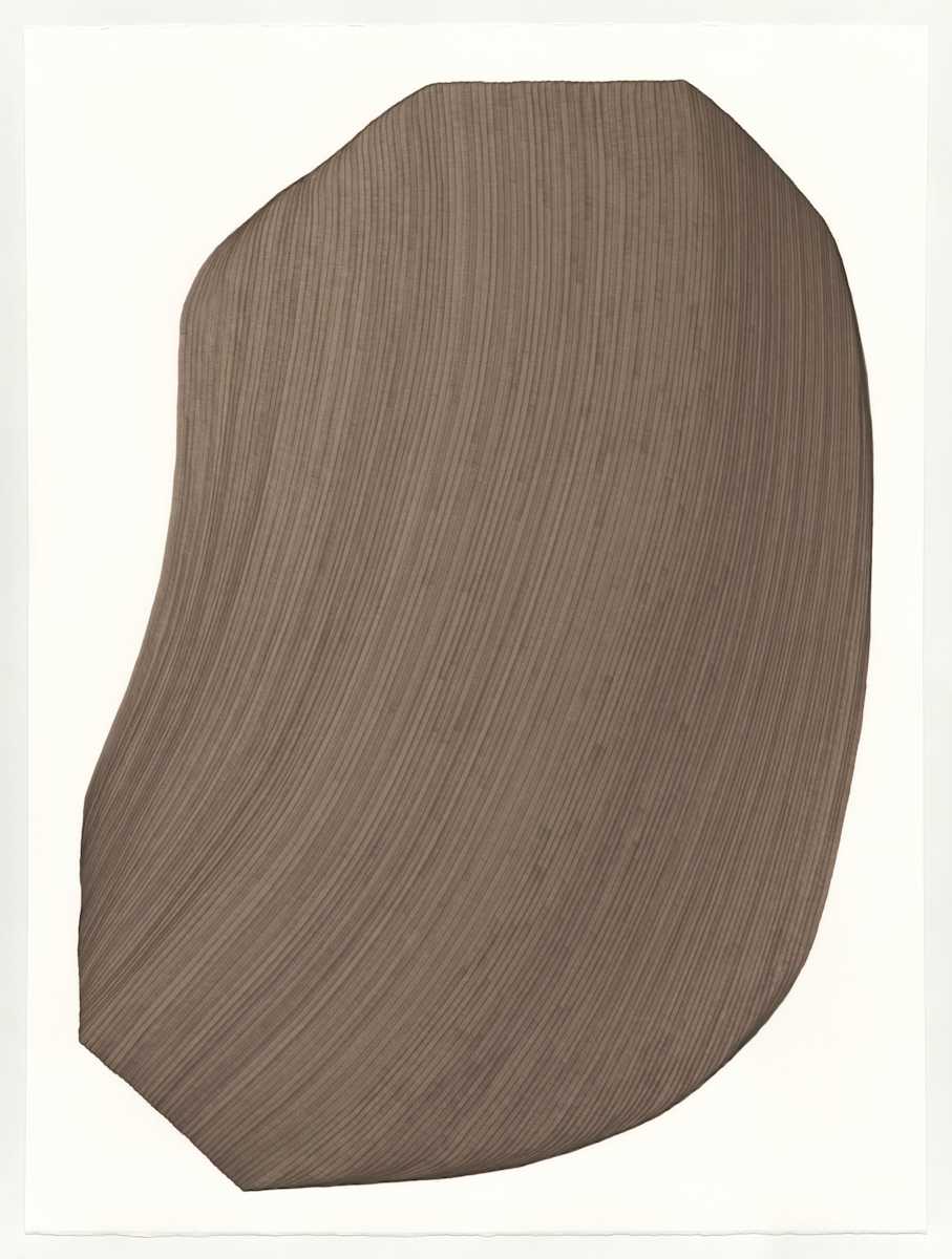 Lines 199 by Dana Piazza, Image 1.