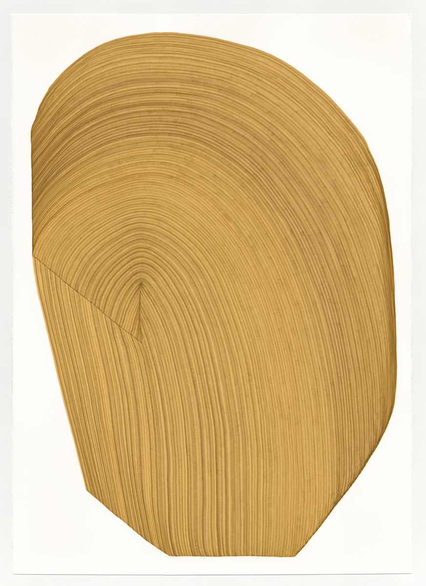Lines 167 by Dana Piazza, Image 1.